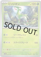 画像: ビリジオン