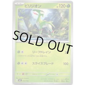 画像: ビリジオン