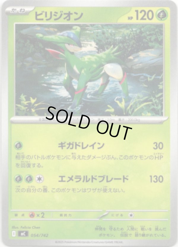 画像1: ビリジオン