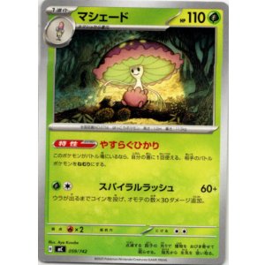 画像: マシェード