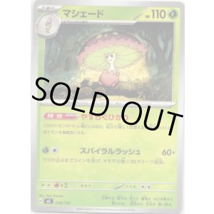 画像: マシェード