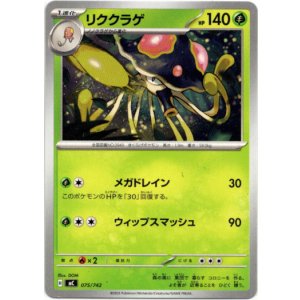 画像: リククラゲ