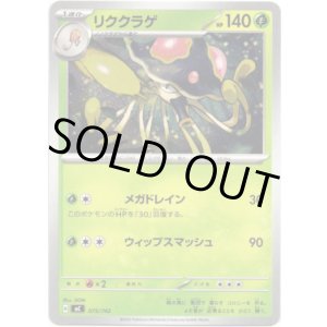 画像: リククラゲ