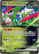 画像: テツノイサハex