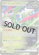 画像: テツノイサハex