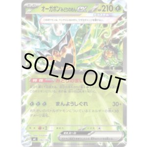 画像: オーガポン みどりのめんex