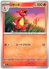 画像: リザード