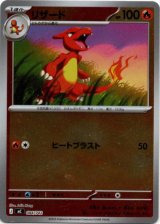 画像: 【ミラー】リザード