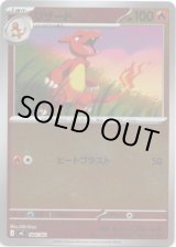 画像: 【ミラー】リザード