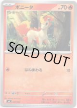 画像: ポニータ