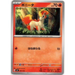 画像: ポニータ