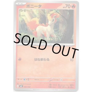 画像: ポニータ