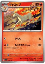 画像: ギャロップ