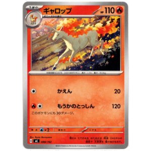 画像: ギャロップ