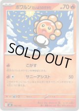 画像: ポワルン たいようのすがた