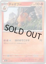 画像: チャオブー