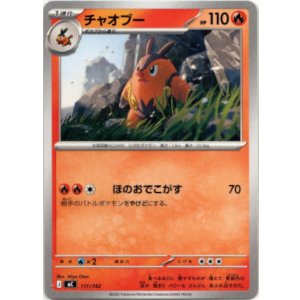 画像: チャオブー