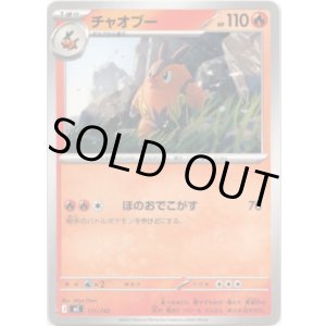 画像: チャオブー