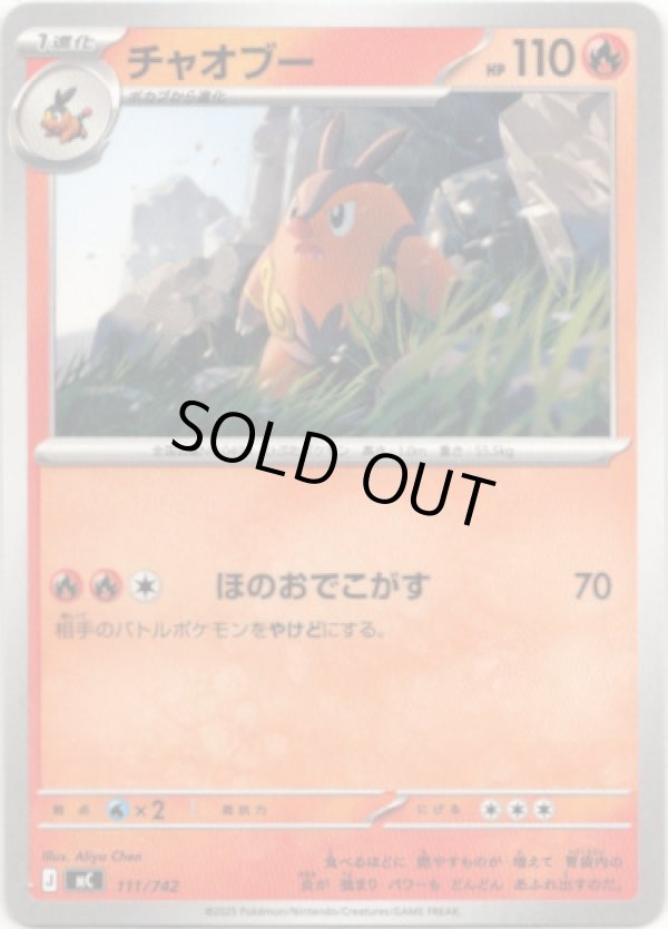 画像1: チャオブー