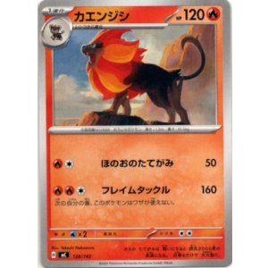 画像: カエンジシ