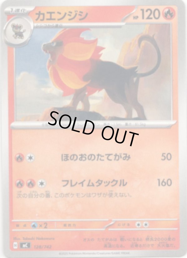 画像1: カエンジシ