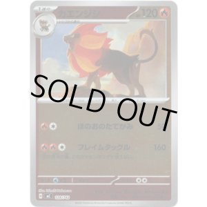 画像: 【ミラー】カエンジシ