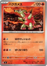 画像: バクガメス