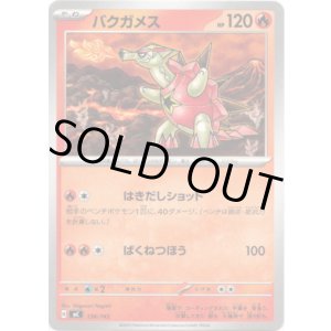 画像: バクガメス