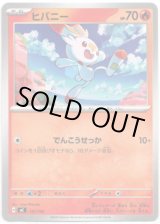 画像: ヒバニー