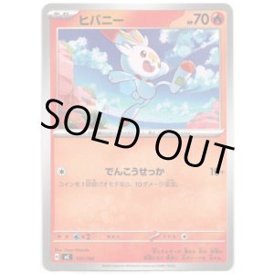 画像: ヒバニー