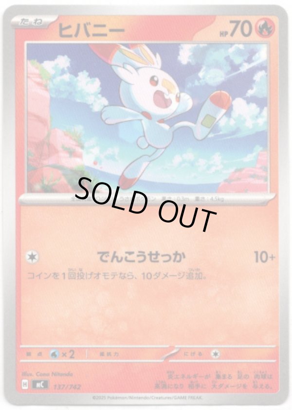 画像1: ヒバニー