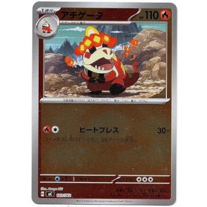 画像: 【ミラー】アチゲータ