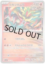 画像: ウガツホムラ