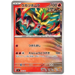 画像: ウガツホムラ