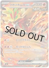 画像: ウガツホムラex