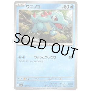 画像: ワニノコ