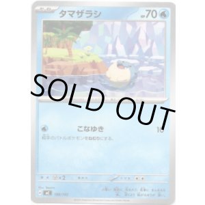 画像: タマザラシ