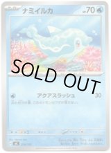 画像: ナミイルカ