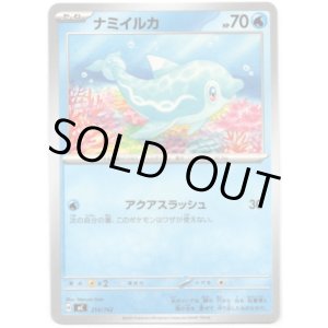 画像: ナミイルカ