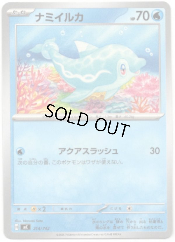 画像1: ナミイルカ