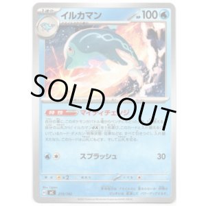 画像: イルカマン