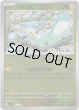 画像: 【ミラー】パチリス