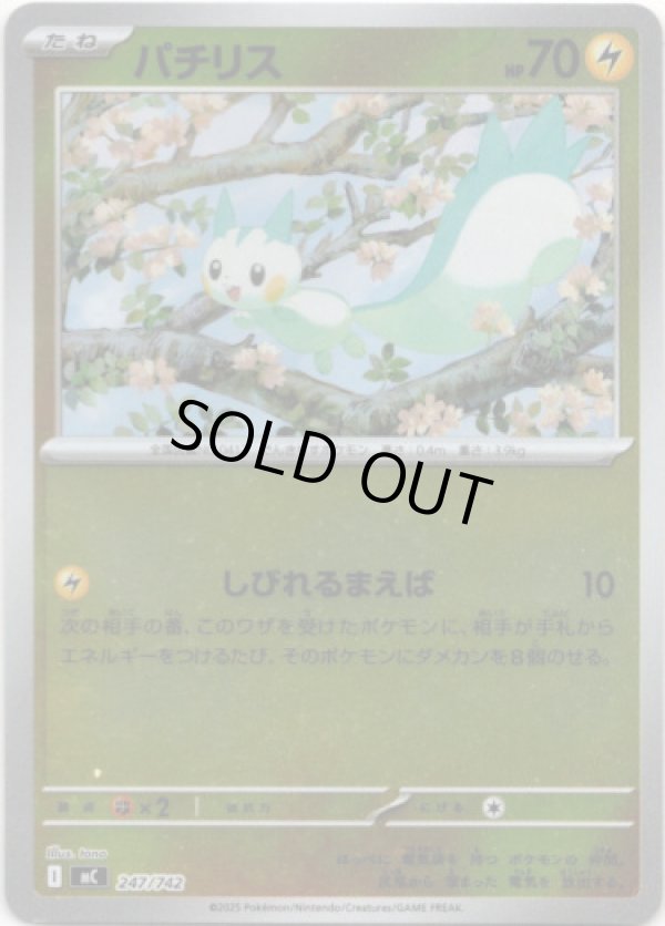 画像1: 【ミラー】パチリス