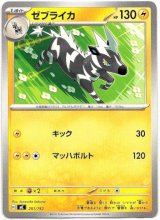 画像: ゼブライカ