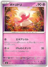 画像: オドリドリ