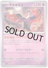 画像: キチキギス