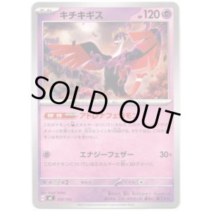 画像: キチキギス