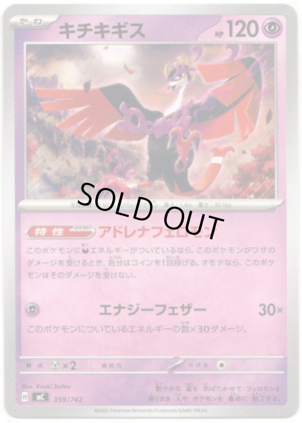 画像1: キチキギス