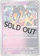 画像: テツノイワオ