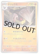 画像: ドリュウズ